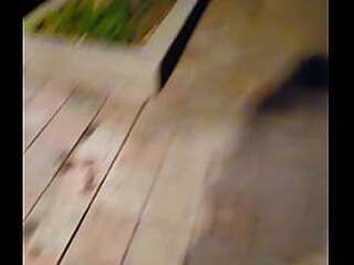 lingeried shemale carla renata sexy striptease and solo masturbation