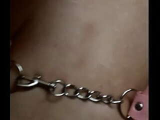 america s next top tranny season 05 2