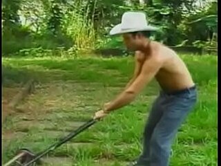 one pussy  one shecock and a black cock enjoy each other