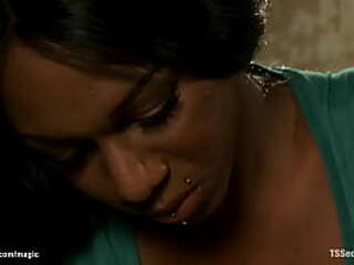 boxer gets bbc from busty shemale