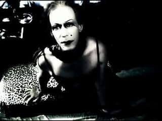 transfun 5 hunk gets fucked by hot shemale