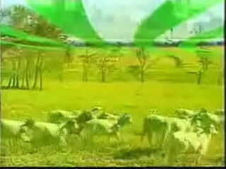 night ass fucking with horny tgirl sabrina and tony