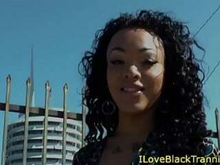 cockpierced ebony tgirl masturbates