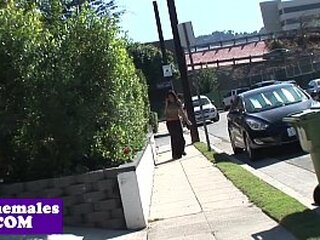 busty tranny in spex assfucked before facial