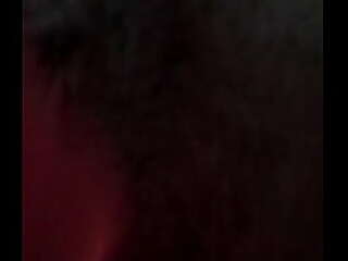 brunette shemale tamara camargo  sucks dick and takes it up her ass