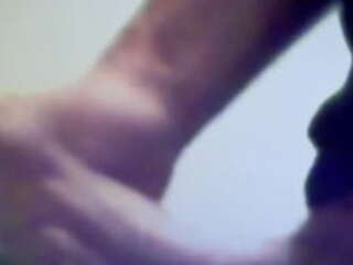 fiery hot shemale lesbian with mesmerizing curves and sultry moves