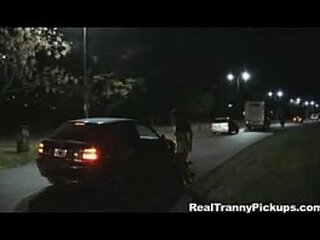 main street tranny hooker!