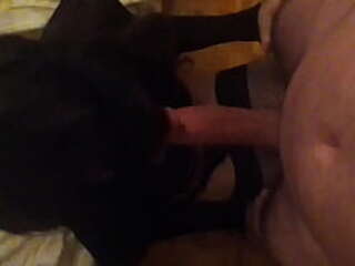 amazing shemales bang one lusty submissive dude