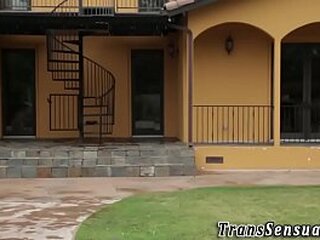 double anal bareback for the shemale nicollye